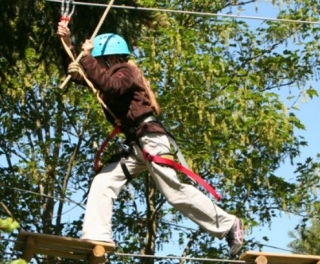  Flea jumps 
